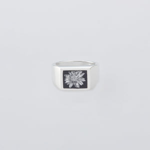 2026 Spring & Summer – XOLO JEWELRY